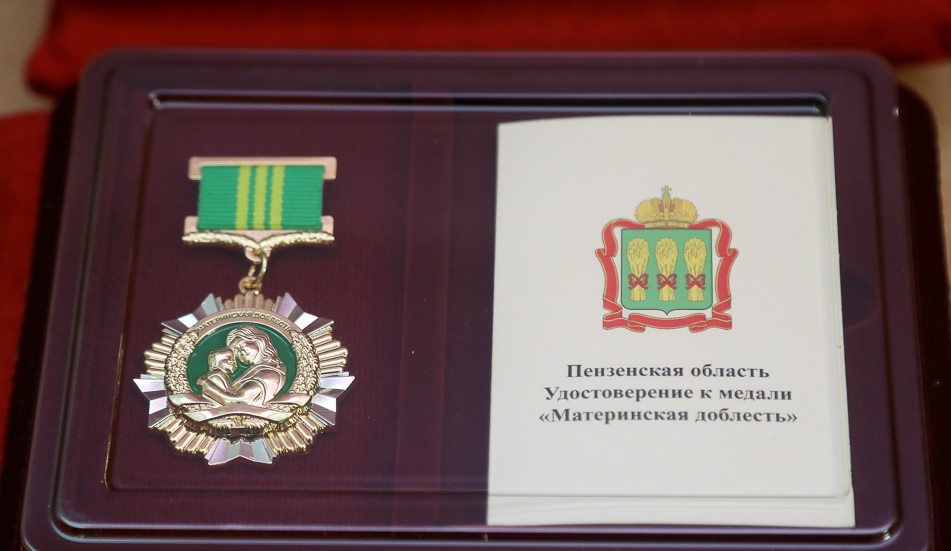 Олег Мельниченко вручил многодетным мамам медали «Материнская доблесть»