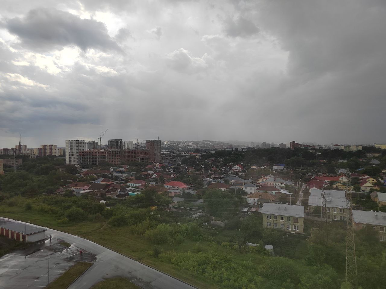 В Пензенской области водитель застрял на дороге из-за бросающихся под колеса свиней