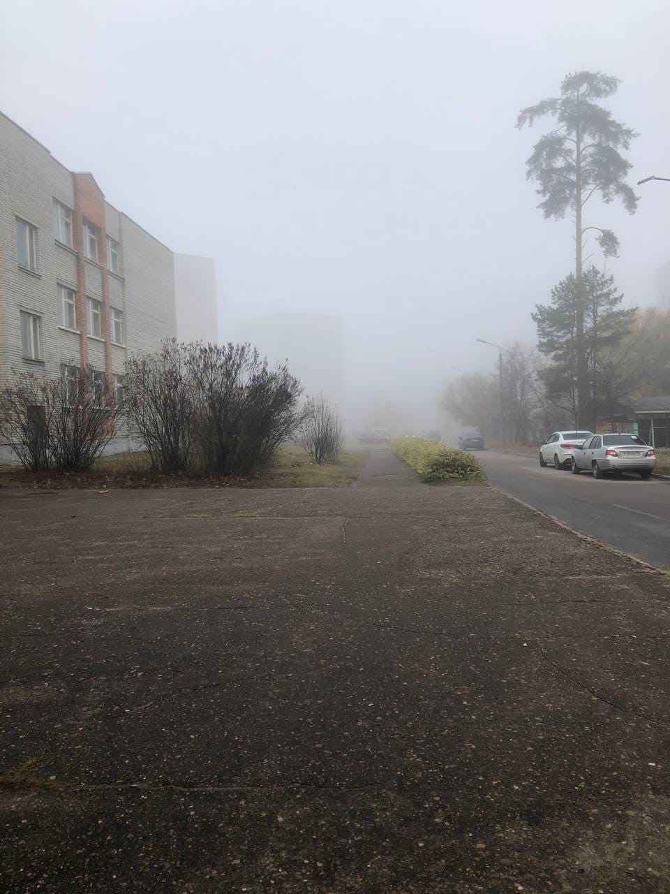 Пензенцев предупреждают о тумане 4 ноября