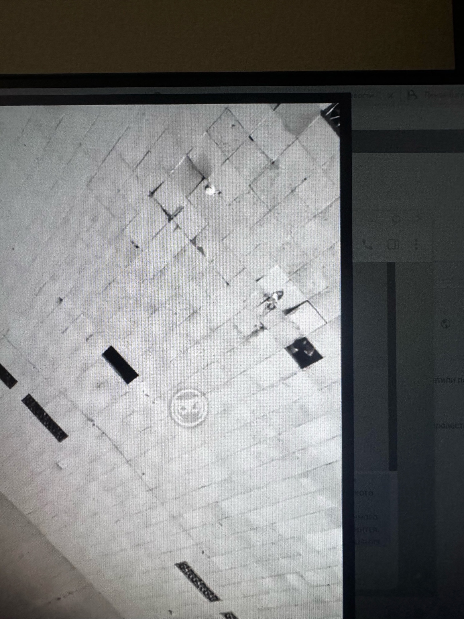 Жители Терновки отметили День матери в ДК с протекающим потолком