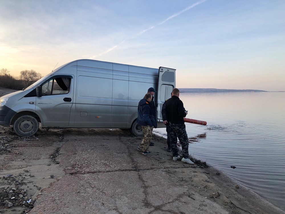 В Пензенской области выпустили 2,5 тысяч особей сазана