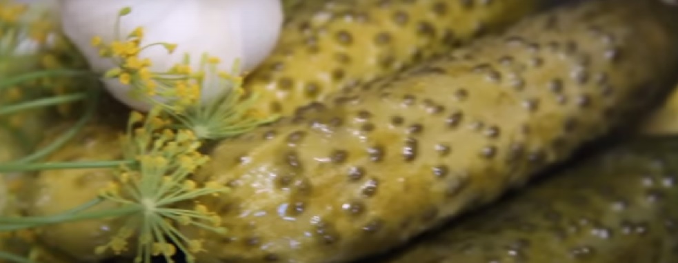 Пензенцам рассказали о пользе соленых огурцов