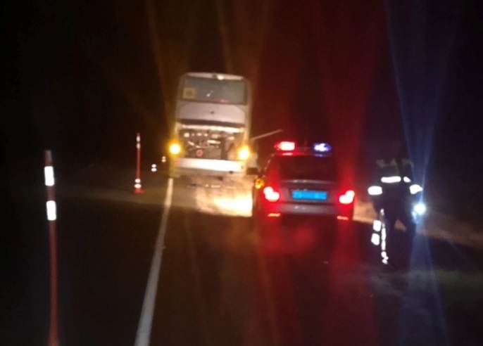 Пензенские автоинспекторы помогли детям вернуться домой в Саратов