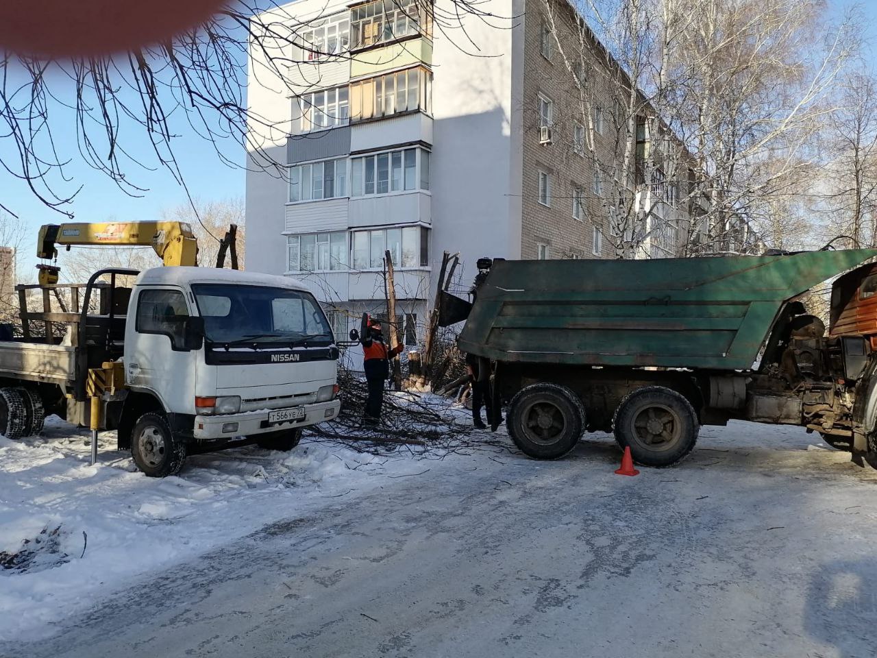 Борис Панин помог жителям Терновки с опиловкой деревьев