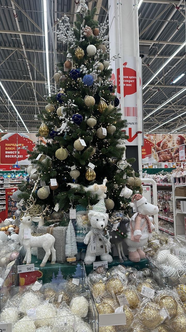 В Сердобске подумают об установке елки в сквере Яблочкова