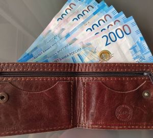 ЦБ РФ повысил стоимость платины и палладия 16 ноября