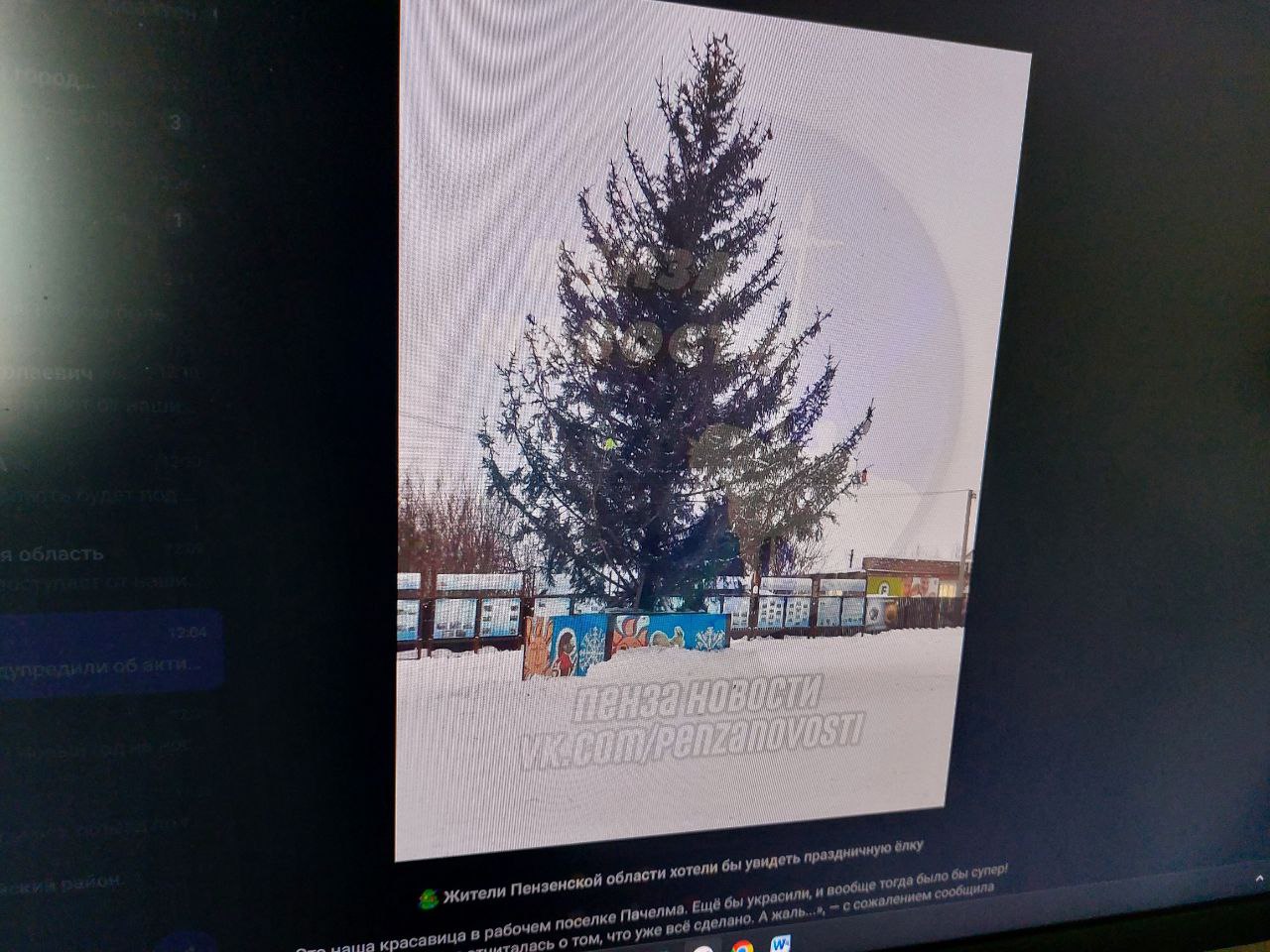 Олег Мельниченко поручил заменить не понравившиеся пензенцам елки