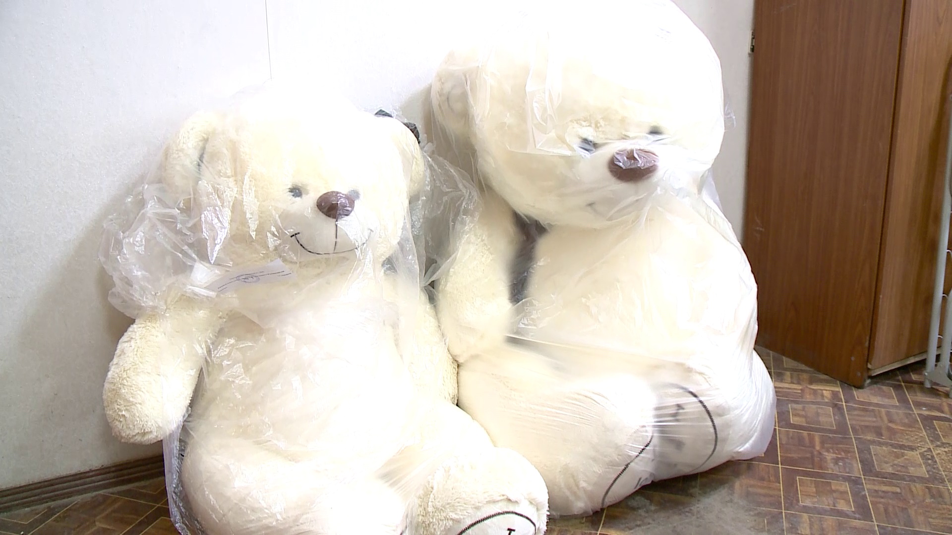 В Пензе по горячим следам нашли похитителей плюшевых медведей