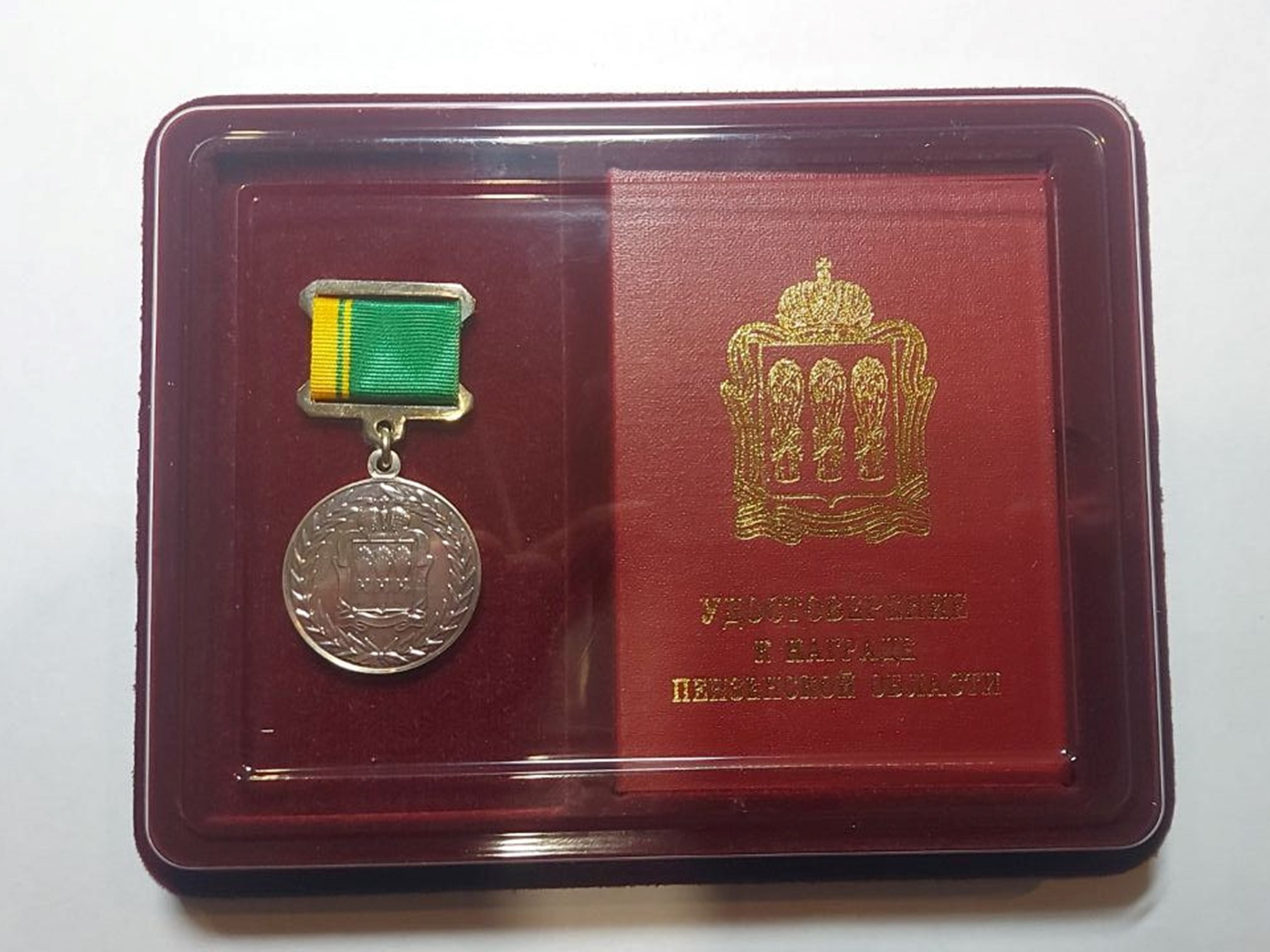 Военнослужащим в ЛНР вручили медаль «За заслуги перед Пензенской областью»