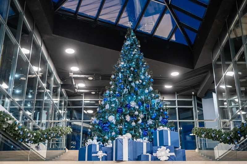 В «Созвездии» установили самую высокую елку в ЖК