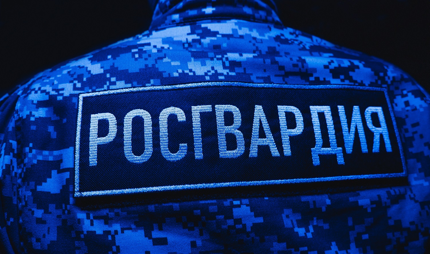 Пензенцы сняли на видео задержание буйного посетителя бара