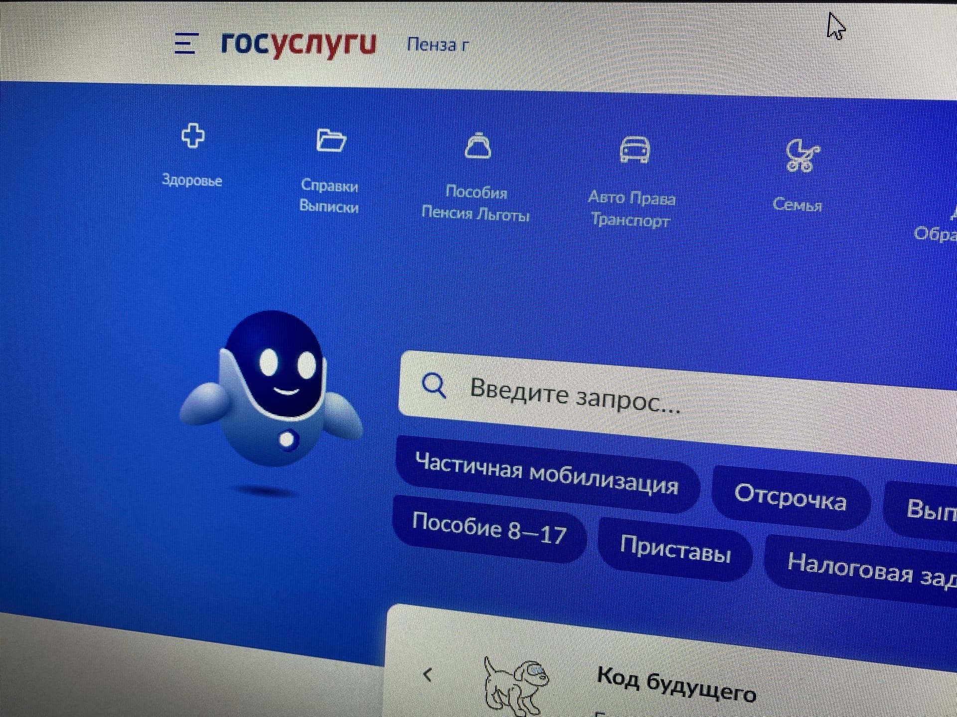 Жители Пензенской области смогут давать согласие на обработку личных данных через «Госуслуги»