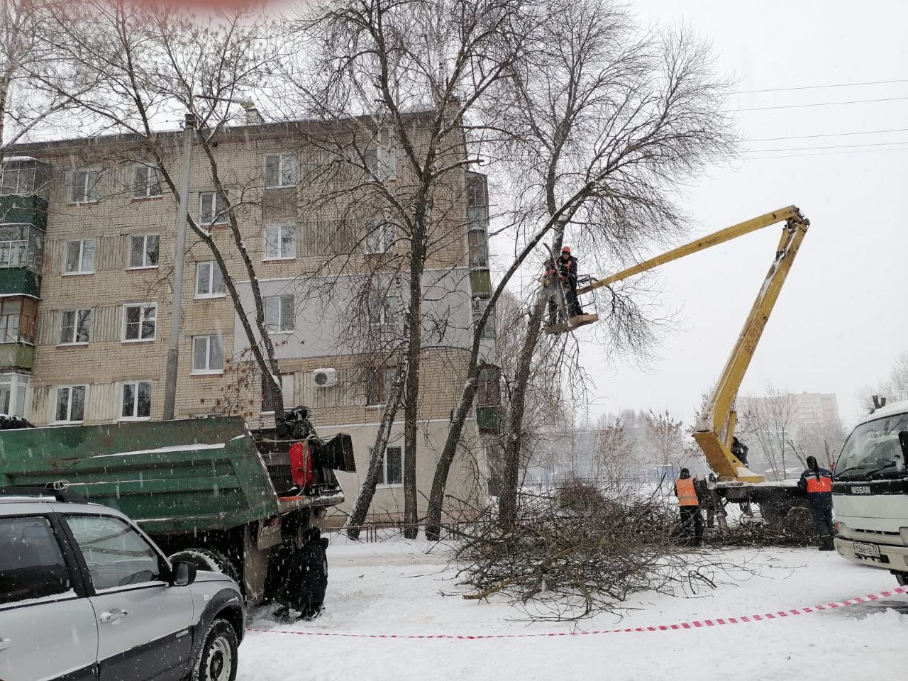 Борис Панин помог жителям Терновки с кронированием деревьев
