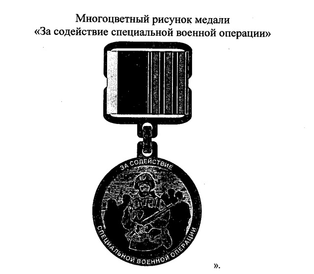 В Пензенской области введут медаль «За содействие военной операции»