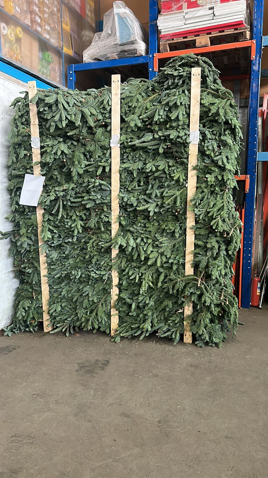 В выходные в Пензе откроют елочные базары