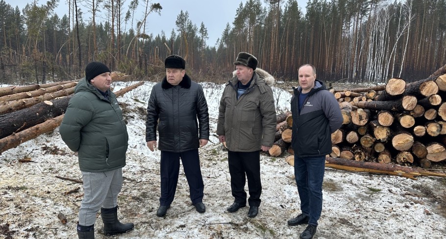 В Никольском районе продолжается уборка деревьев, поваленных июльским ураганом