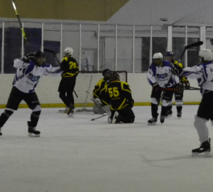 Пензенцы попросили повлиять на «анти-хоккей» «Дизеля»