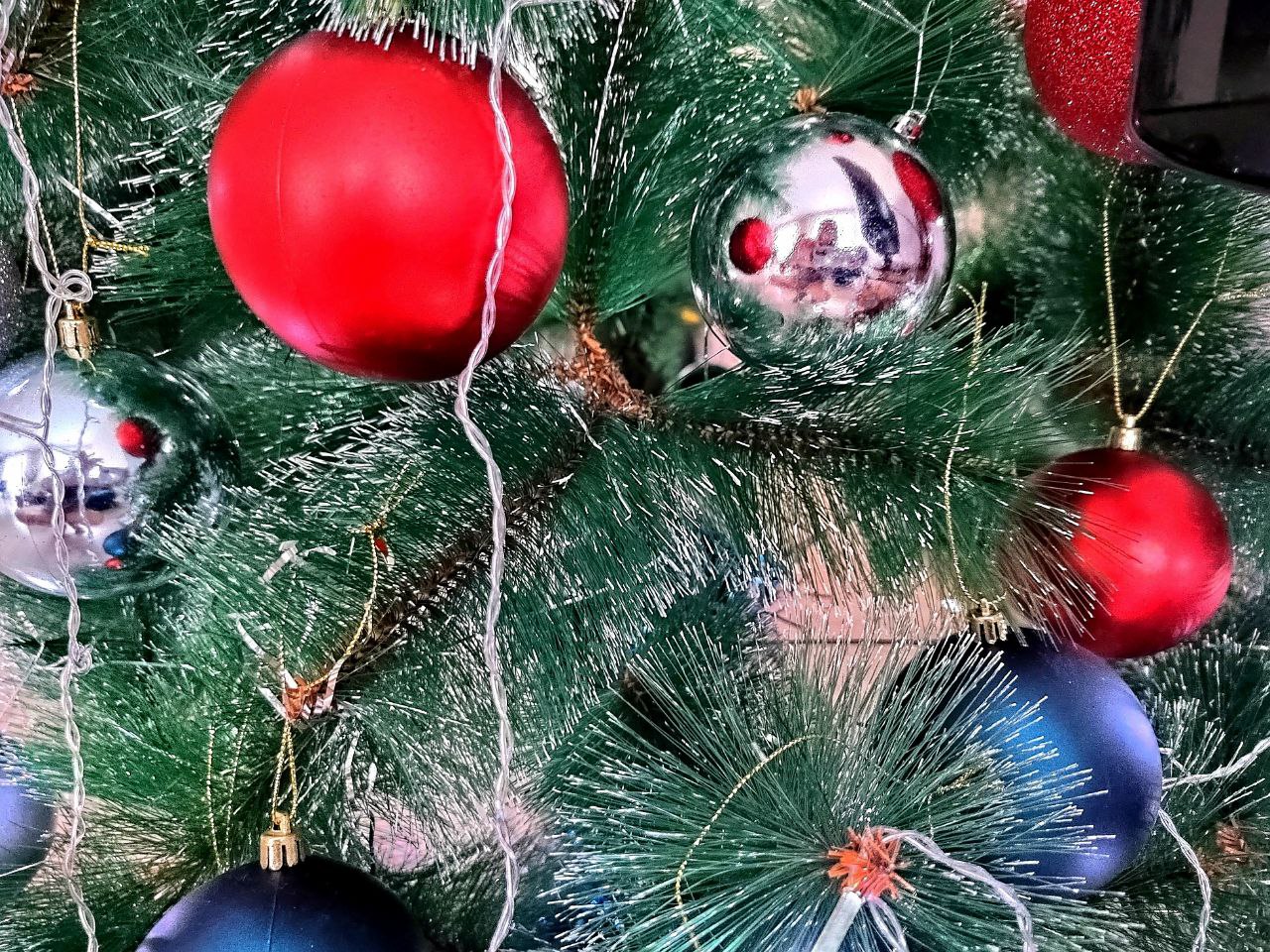 Пензенцы рискуют подхватить дерматит после контакта с новогодней елкой