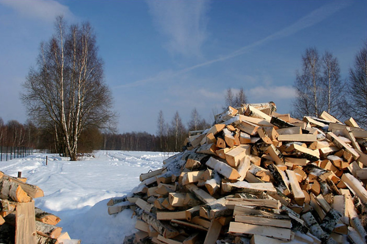 Пензенцы отправили мобилизованным более 20 кубометров дров