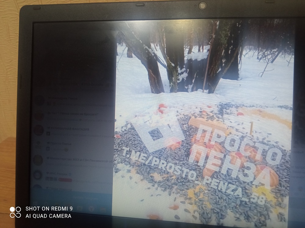 На тропе здоровья в Пензе устроили мистический ритуал