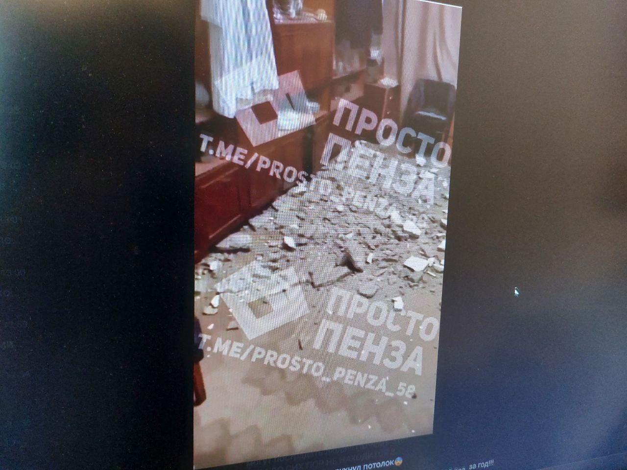 В Пензе в одной из квартир потолок рухнул на домашних животных