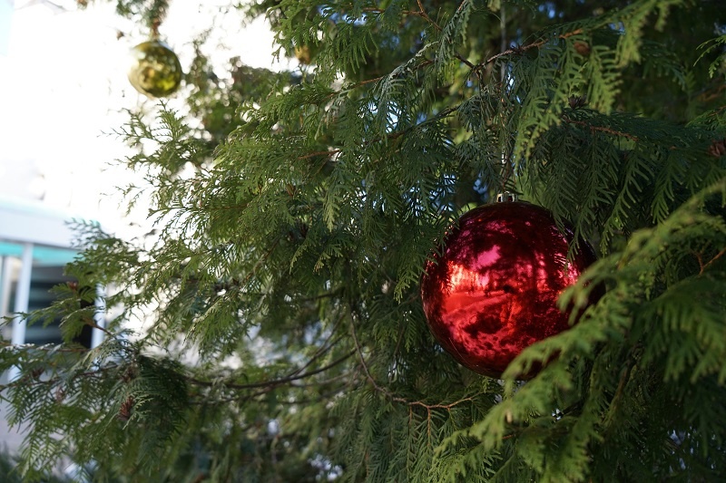 В пензенском планетарии до 8 января проходит «Космоёлка»