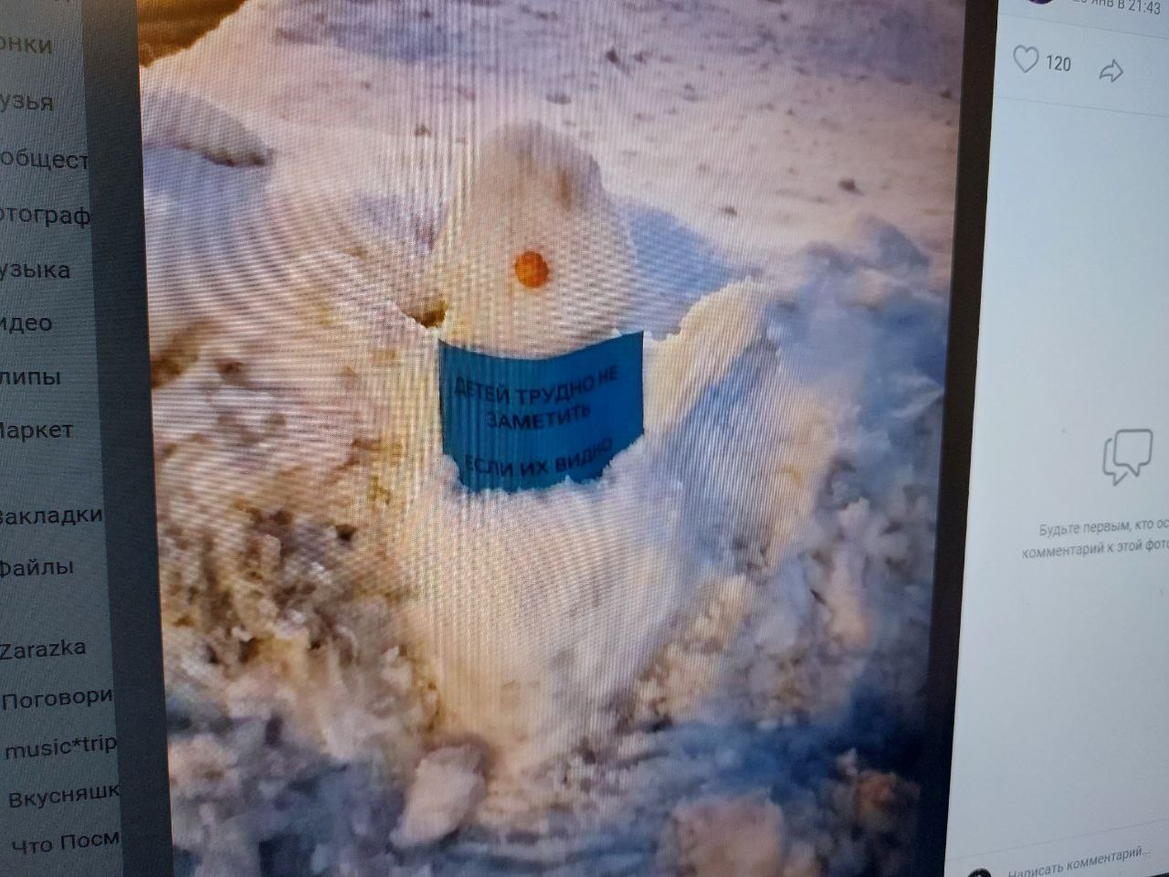 В Пензе на Западной поляне появились «социальные» снеговики