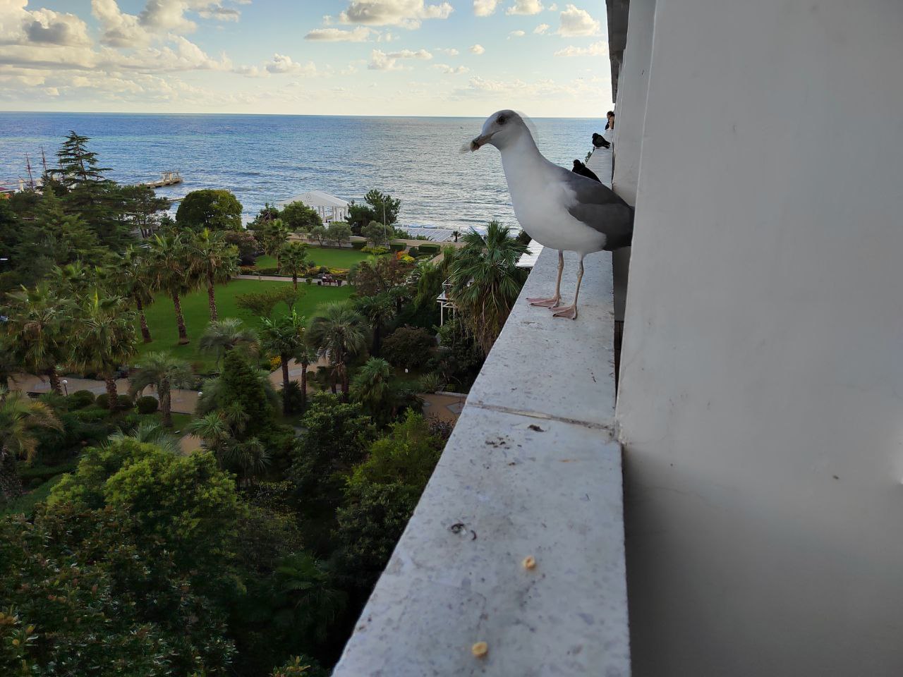 Жителей Пензенской области просят помочь в подсчете водоплавающих птиц