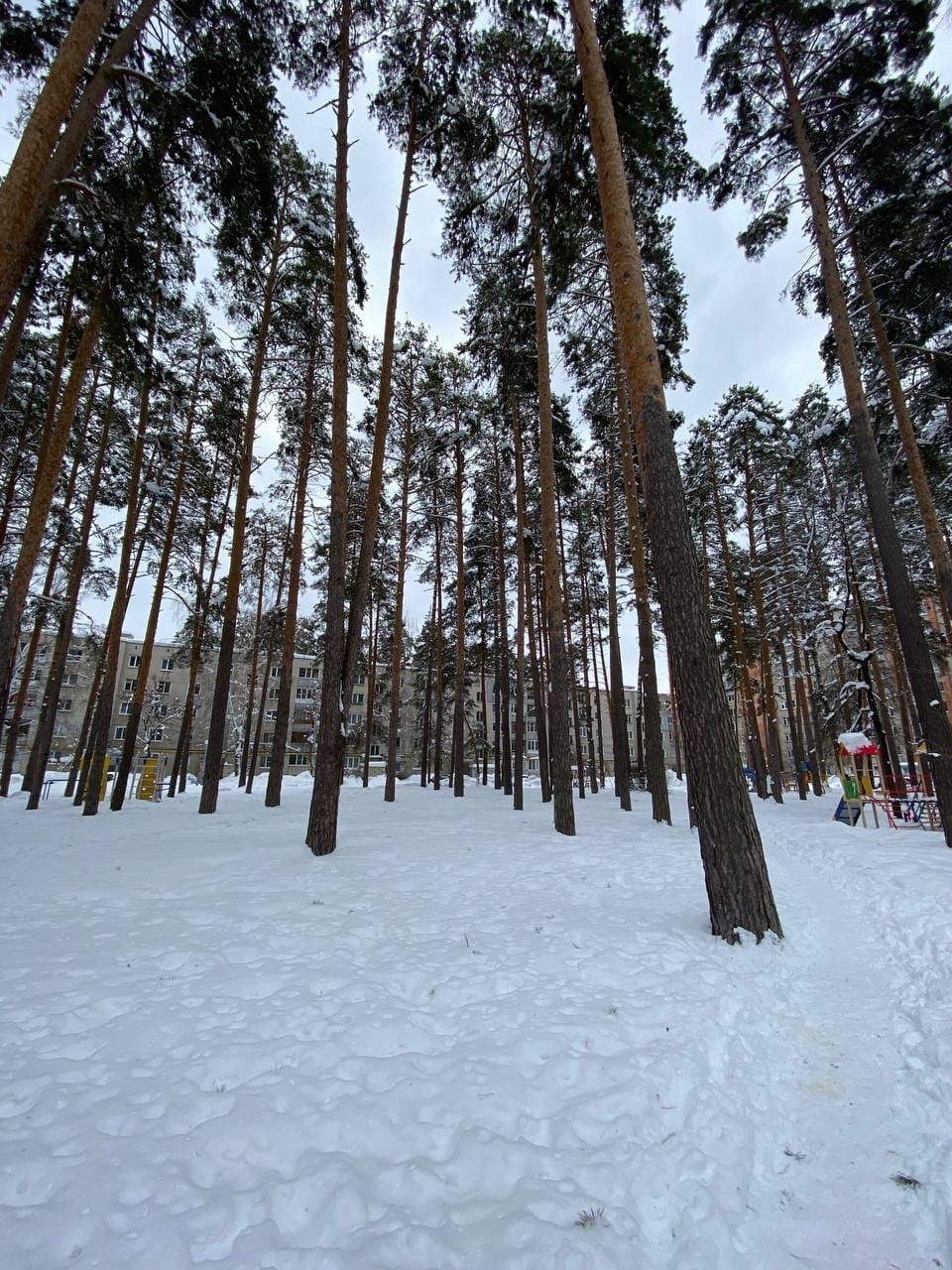 Зареченцам перечислили объекты для благоустройства в 2025 году
