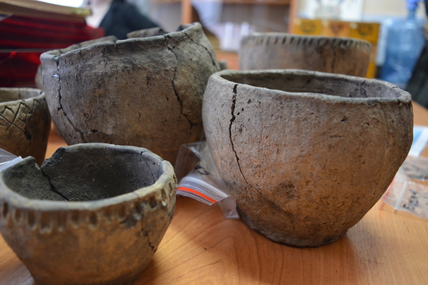 В пензенский краеведческий музей поступили уникальные находки с раскопок