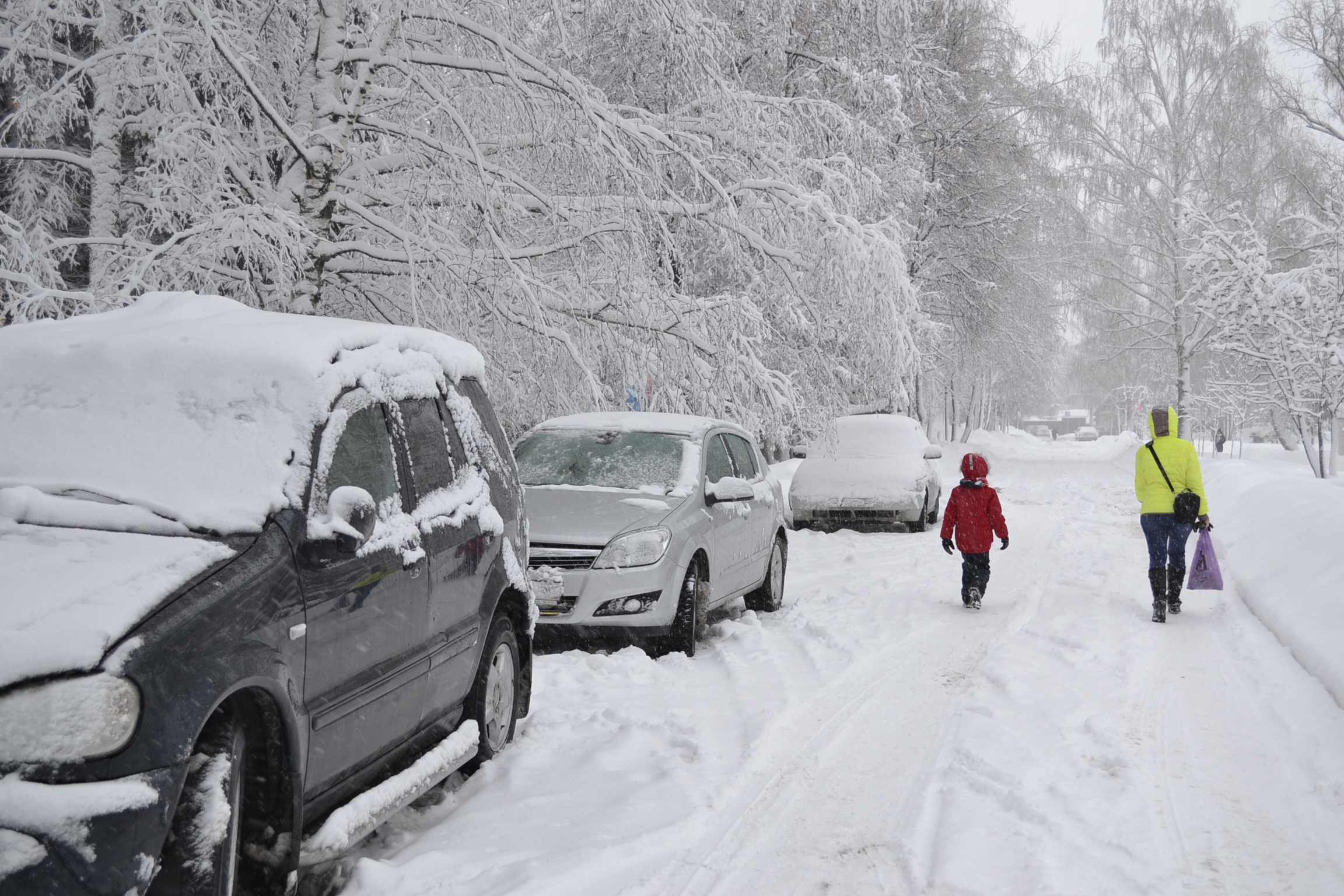 20 января пензенцев ждут потепление и южный ветер
