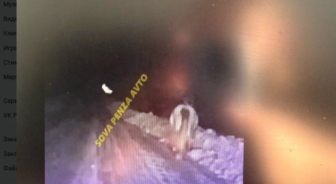 Пензенец ночью встретил белого коня, бегущего по трассе