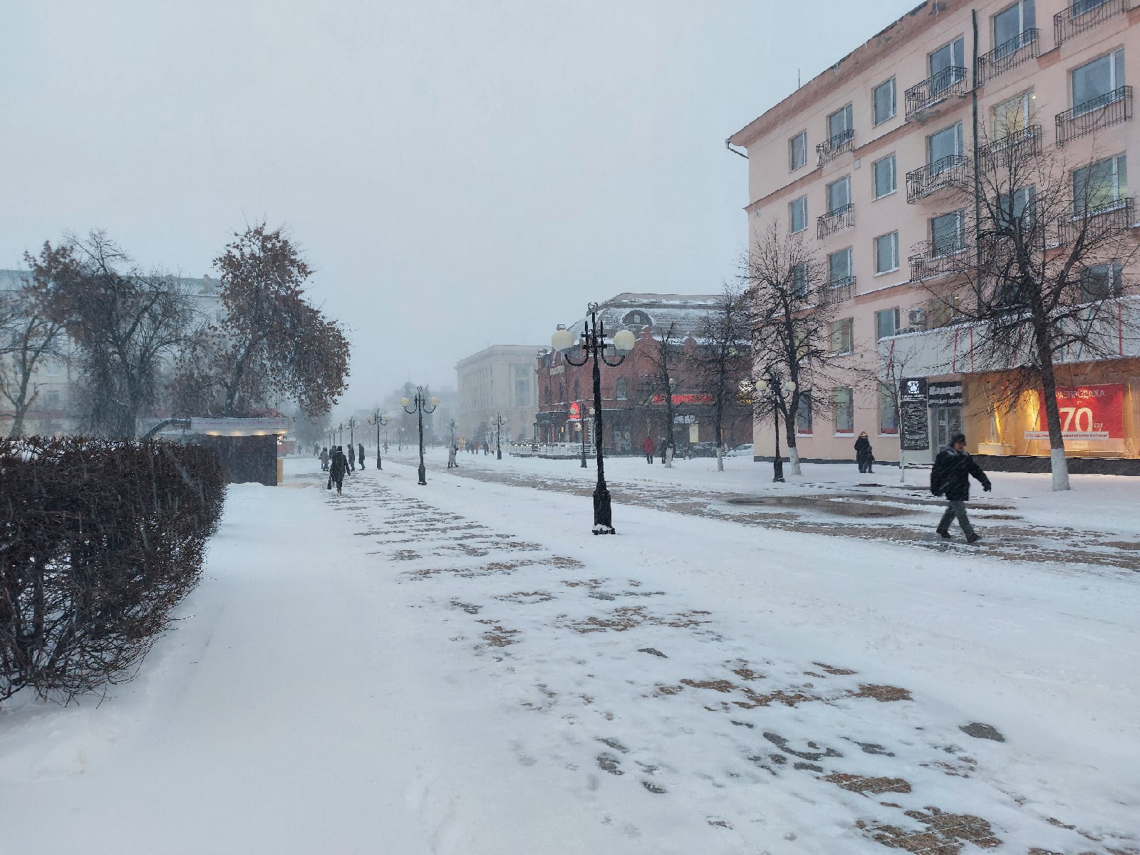 В пензенском МЧС предупреждают об авариях из-за порывистого ветра