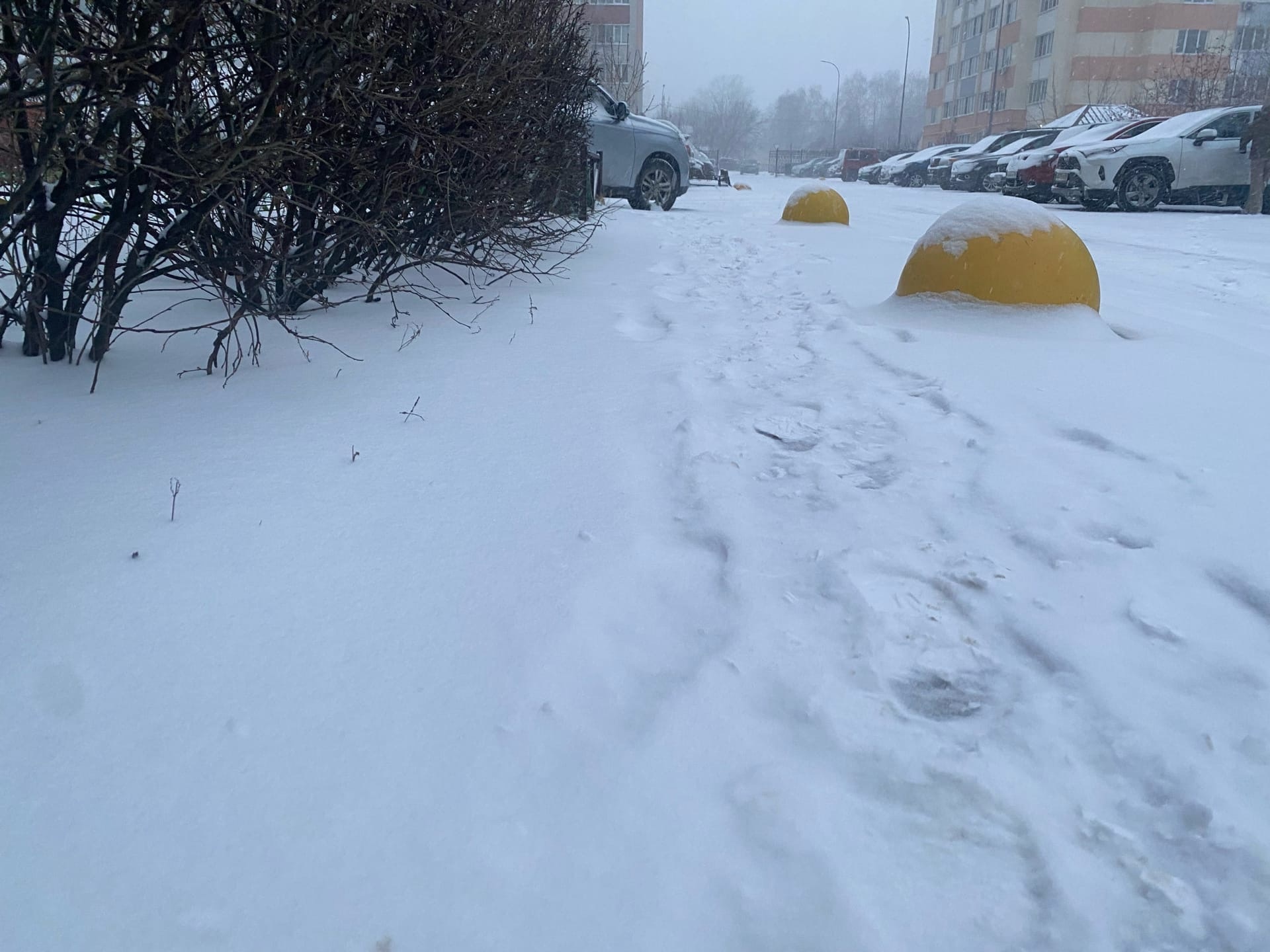 В пензенском МЧС предупредили о продолжении аномальных холодов