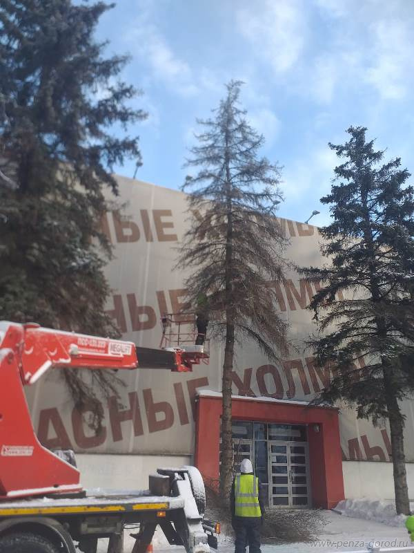 В Пензе начали пилить многолетние деревья у «Красных холмов»