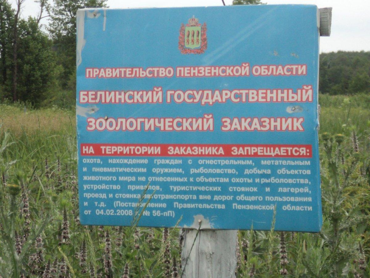 В Пензе готовятся к весеннему паводку