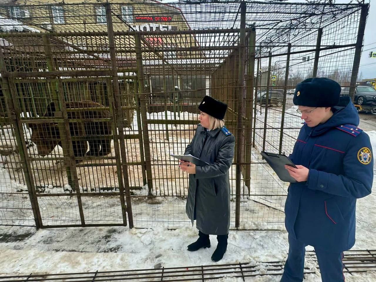 «От ноги ничего не осталось»: работника кафе насмерть растерзал медведь