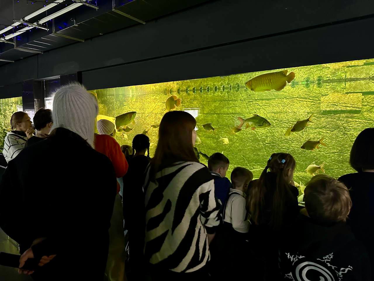 В Пензе более 200 участников СВО посетили океанариум в выходные