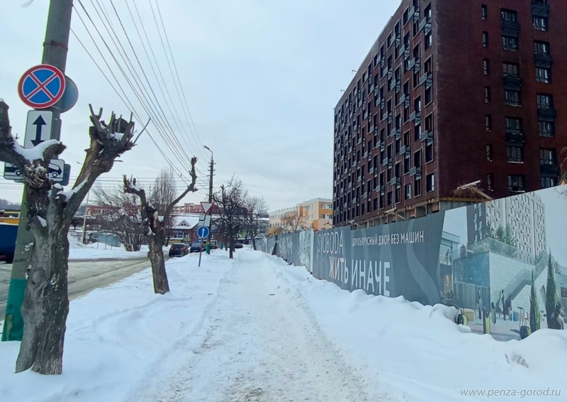 В Пензе на улице Ставского вырубят старые деревья и посадят новые