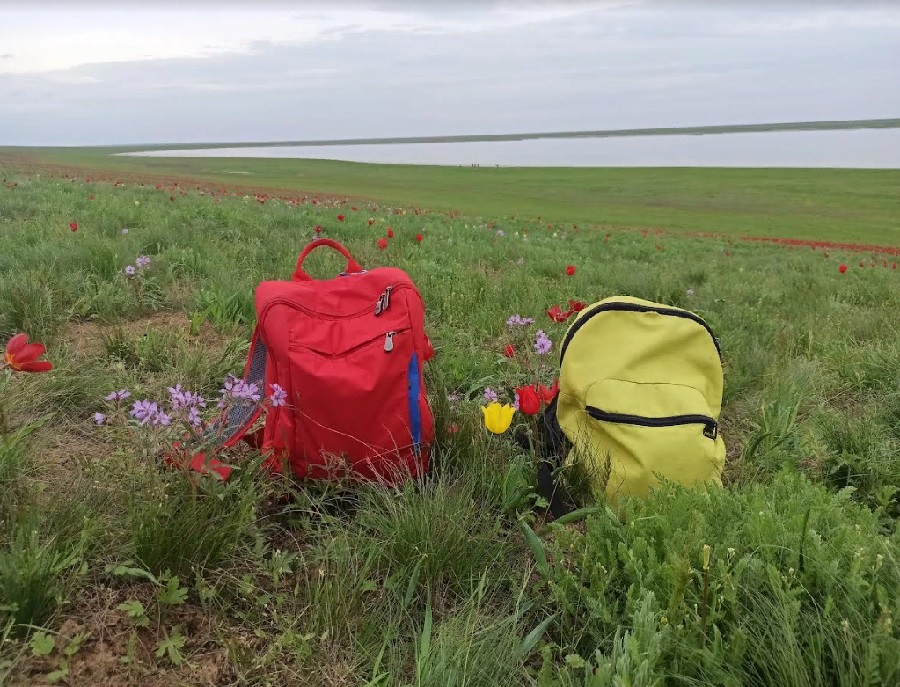 Юные пензенцы смогут представить свои проекты на Всероссийский экоконкурс