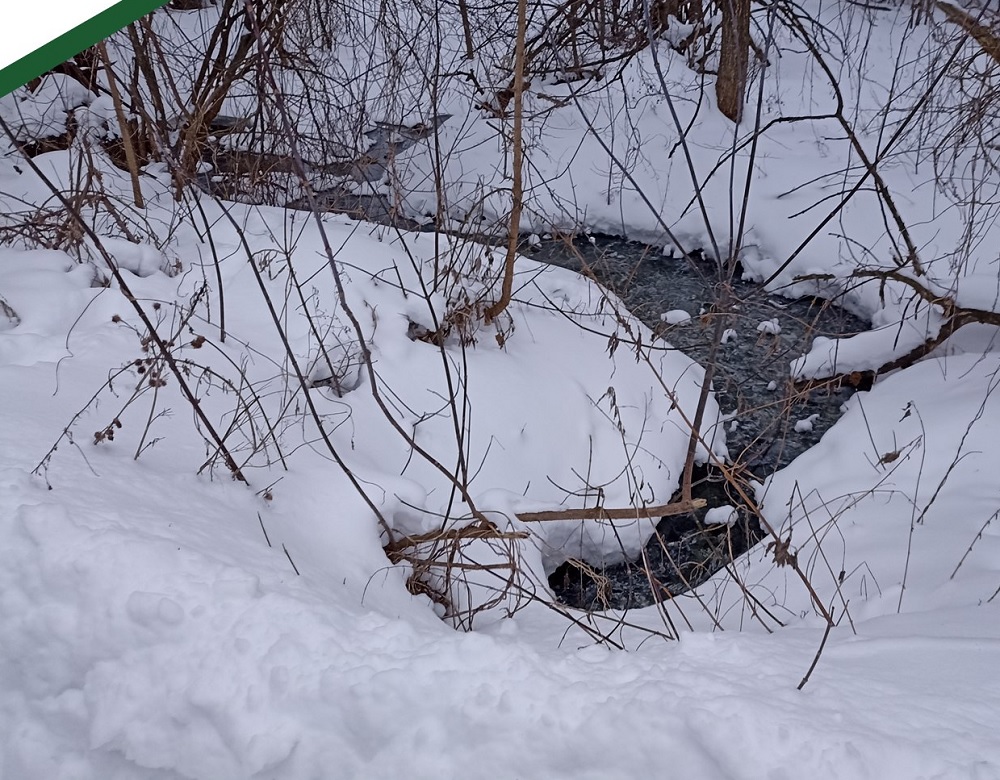 Пензенцами, сливающими отходы в проток Целебуха, займется полиция