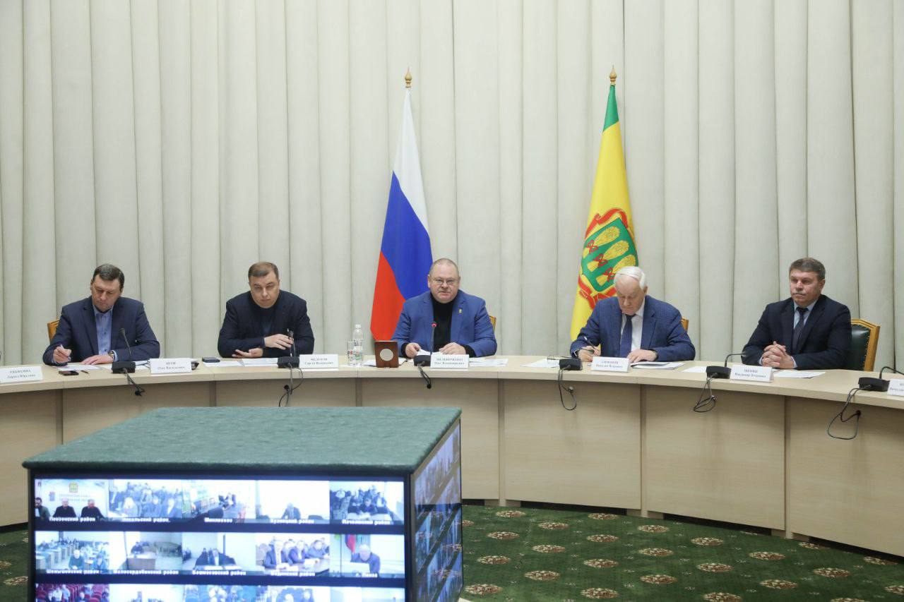 Олег Мельниченко призвал трудовые коллективы убирать снег