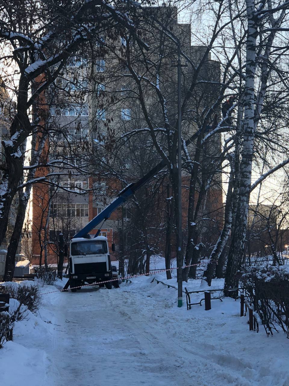 Борис Панин помог решить проблему опиловки деревьев