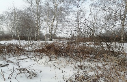 Мокшанца оштрафовали за ненадлежащее содержание земельного участка