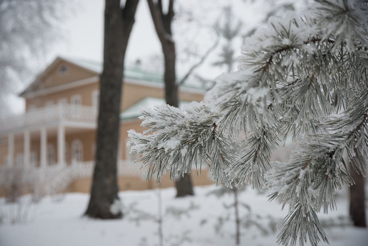 Пензенцы-участники СВО смогут бесплатно посетить «Тарханы» вместе с семьей