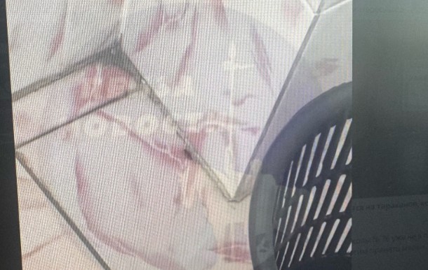 В Пензе дети пожаловались на тараканов в школьных туалетах