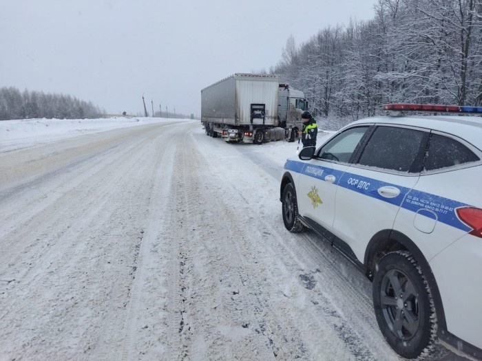 Пензенские инспекторы ГИБДД помогли водителю, улетевшему в кювет