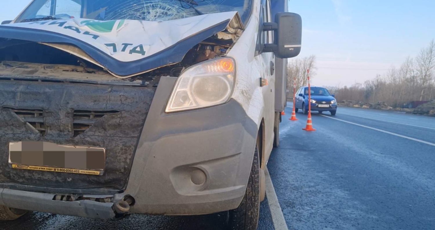 В Пензенской области на трассе М5 «Газель» переехала пешехода