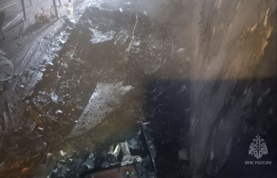 В Сердобске из-за непотушенного окурка сгорел 49-летний мужчина