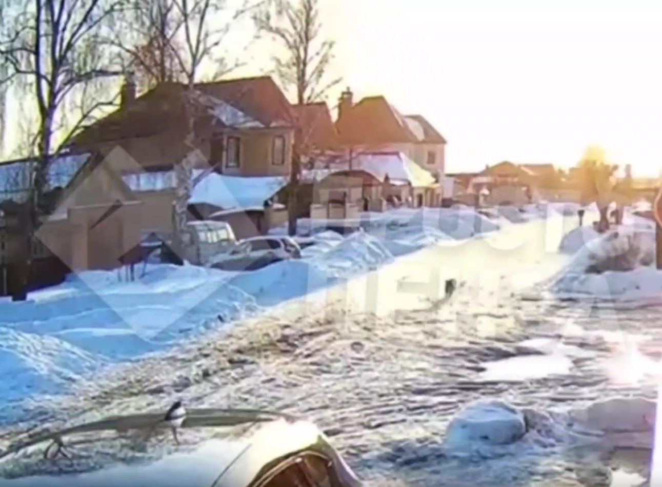 В Пензе живодеры на глазах у ребенка убили соседскую собаку